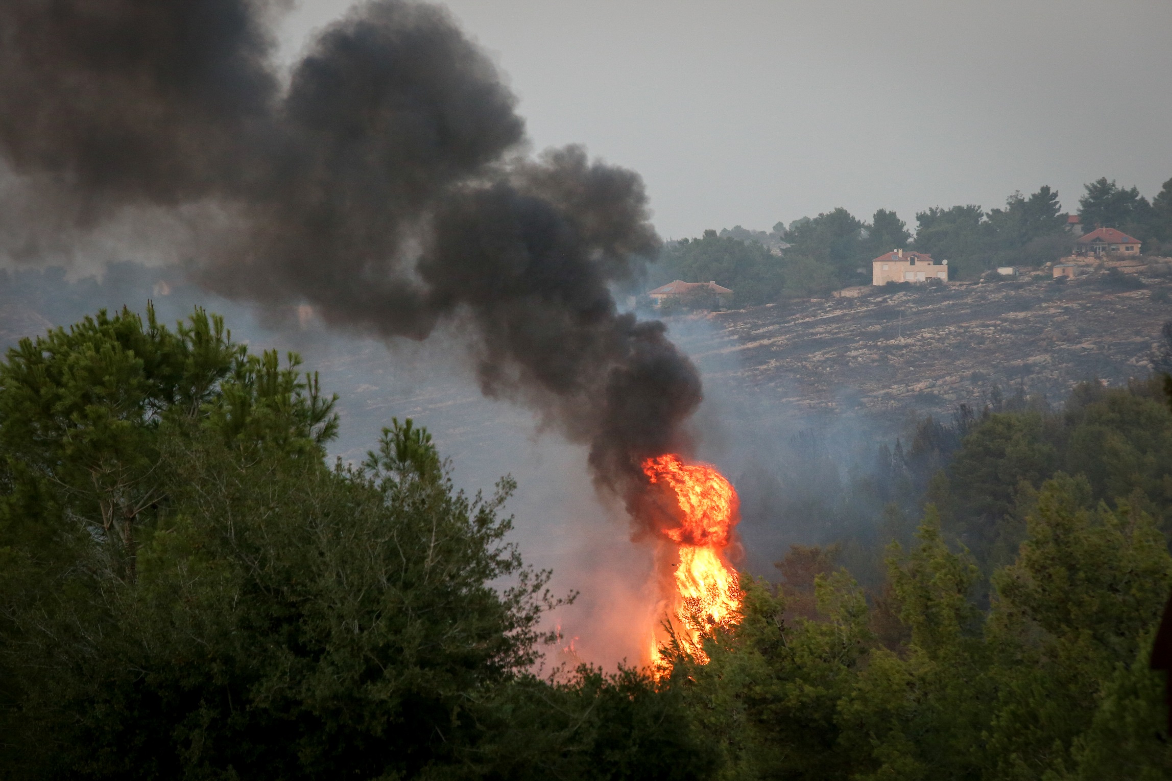 שריפה סמוך למבוא חורון בימי "טרור ההצתות" (הלל מאיר TPS)