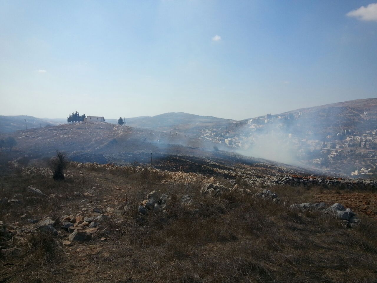 השרפה סמוך לגבעת רונן (אחיעד ליבמן)