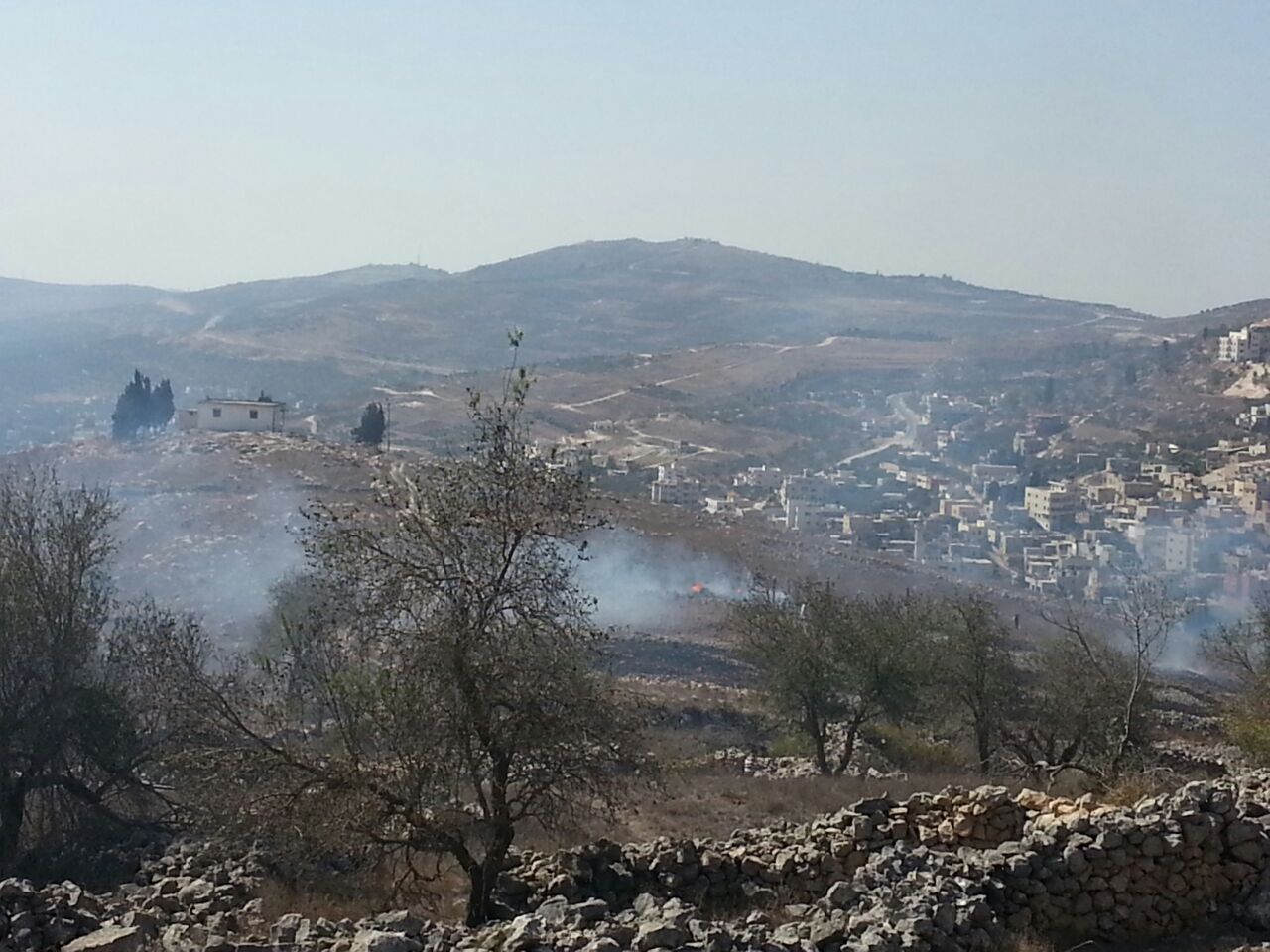 השרפה סמוך לגבעת רונן (אחיעד ליבמן)