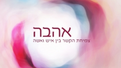 אהבה באמצע החיים. כריכת הספר