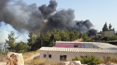 השריפה באלון מורה, השבוע (נדב גולדשטין, סוכנות תצפית) השריפה באלון מורה, השבוע (נדב גולדשטין, סוכנות תצפית)