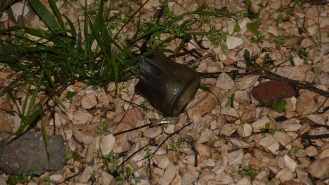 שרידי בקבוק התבערה שהתלקח בחצר הבית (ענבל גרוס - סוכנות תצפית)