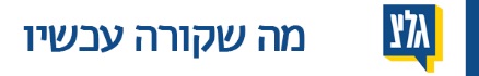 הסלוגן שלהם לא היה פעם "מדווחים מהשטח"? (צילום מסך)