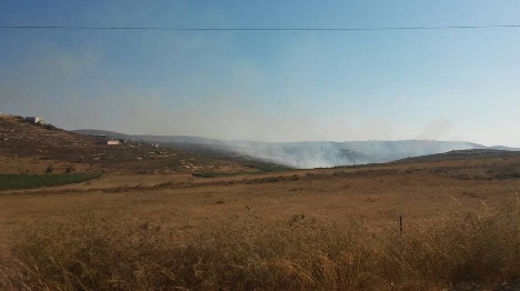 השריפה שהוצתה בגבעות שילה, היום (סוכנות תצפית)