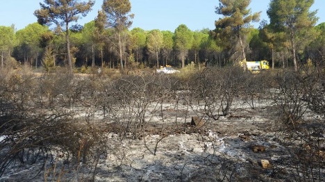 כ-5 דונמים כולו בשריפה, השבוע