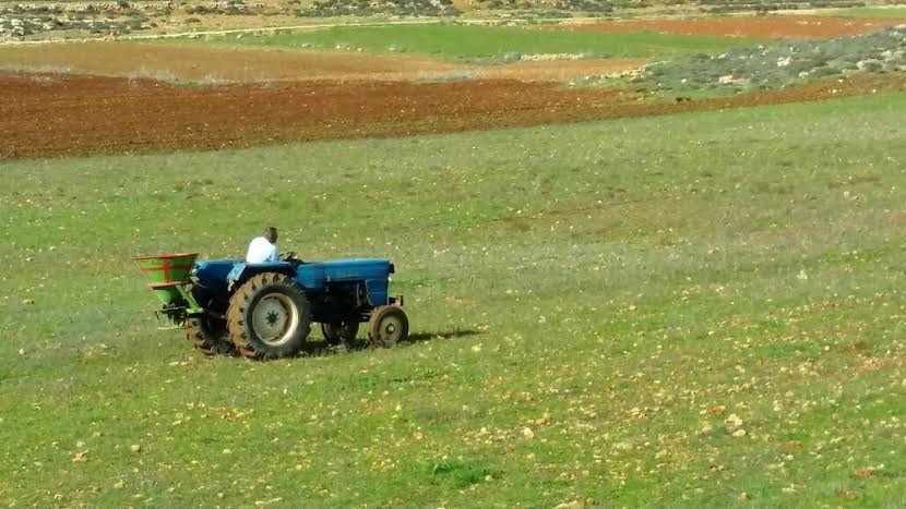 ערבי חורש סמוך לאש קודש (סוכנות תצפית)