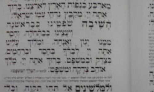 "השיבה שופטינו" - עבירה פלילית?