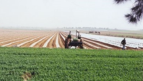 המצווה להתנתק מארץ ישראל, בשביל להפנים את מהות הקשר (קק"ל)