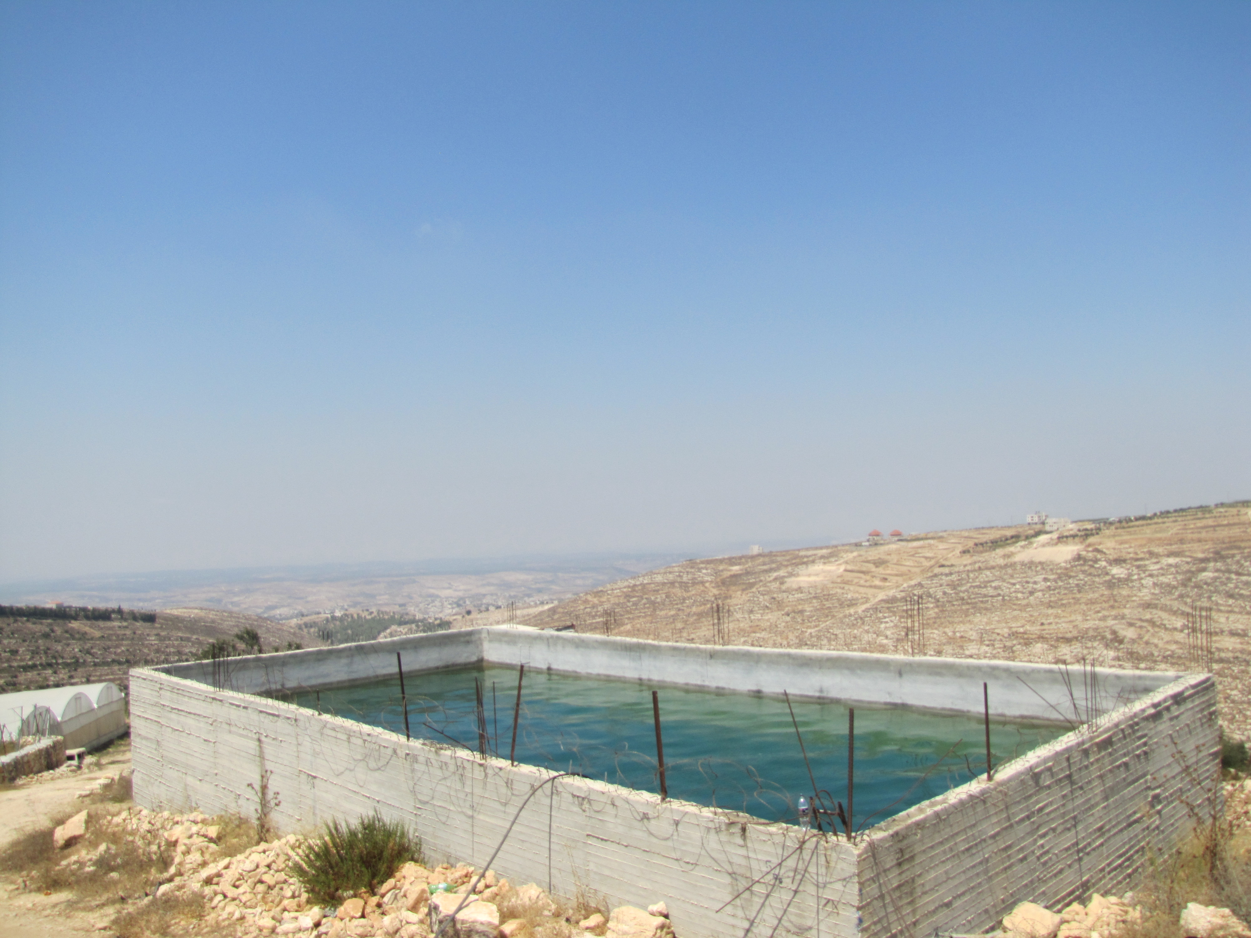 עין קסבר. הבריכה הגדולה ביהודה (מטיילי דוד ואחיקם)