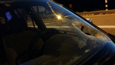 הנזק שנגרם לרכב בסינג'ל, הערב (סוכנות תצפית)