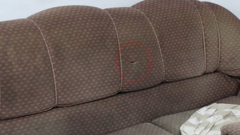 הספה שנפגעה הלילה בבית אל (הלל מאיר, סוכנות תצפית)