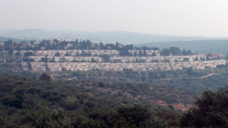 "לנערות בישוב יש ילדים מקשר עם ערבים". הישוב עמנואל