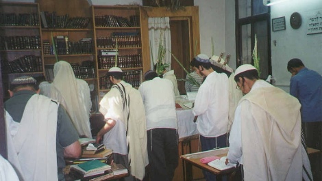 ישיבת 'עוד יוסף חי' בקבר יוסף בשכם
