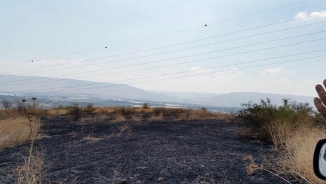 השדה שהוצת סמוך ליבנאל, אתמול (השומר החדש)