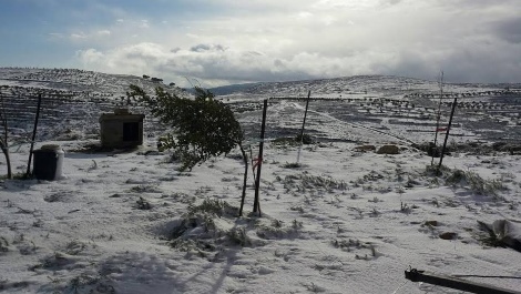 שלג בהרי בנימין היום (אביתר קארו - סוכנות תצפית)