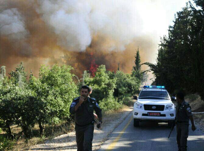 שריפה שהוצתה בידי ערבים בירושלים (משטרת ישראל)