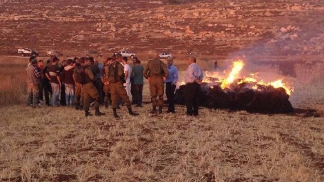 התבואה שהוצתה בבנימין, היום