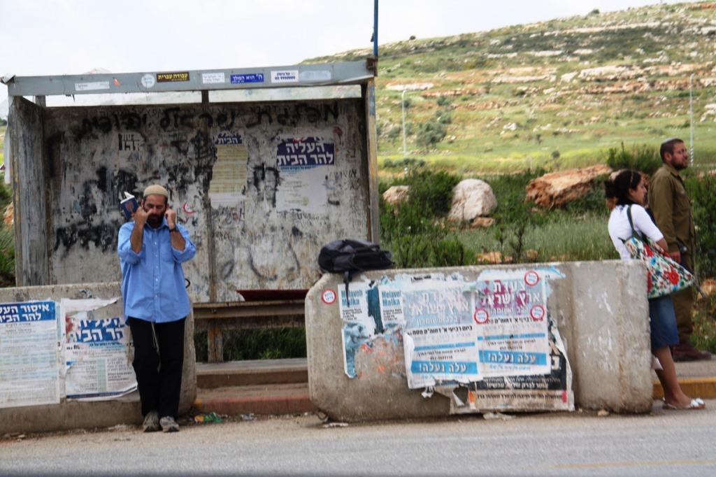 בטונדות בדרכים (הלל מאיר, תצפית)