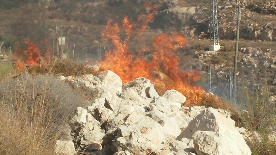 שריפה שהציתו ערבים בביתר שבגוש עציון, השבוע (הצלה יו"ש)