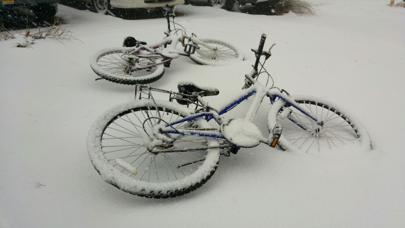 שלג במרום גולן, היום (מוזי אנידג'ר)