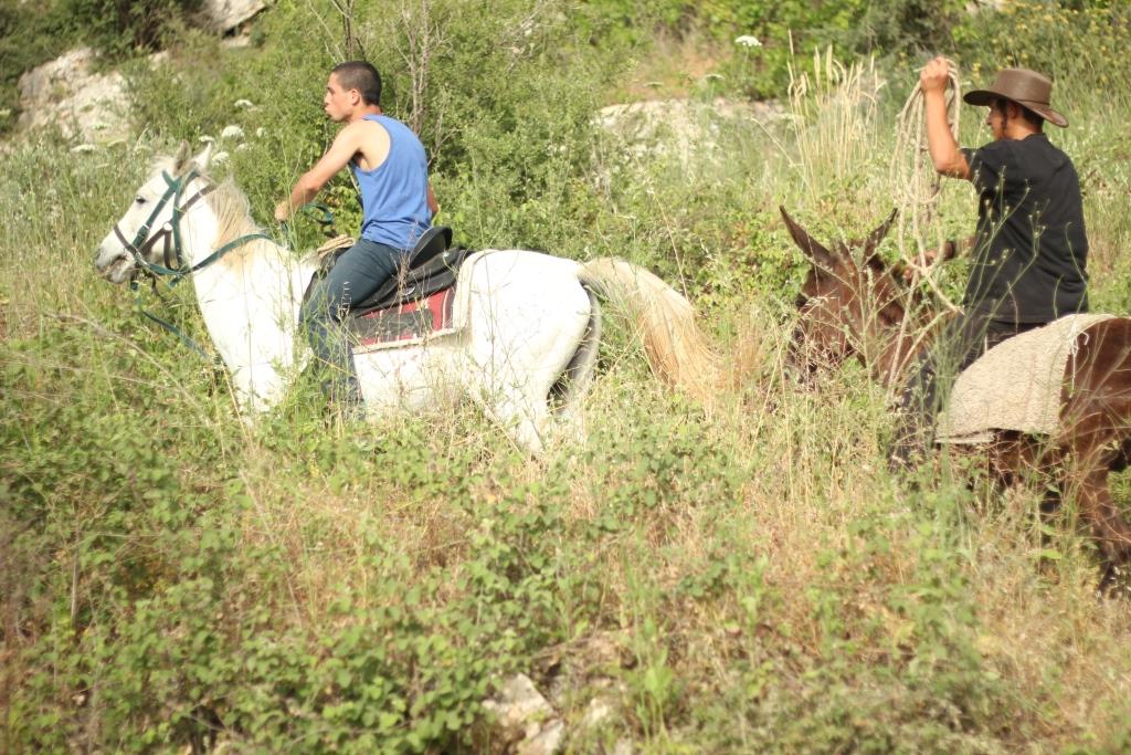 אטרקציות בחול המועד (יהודה פרל)