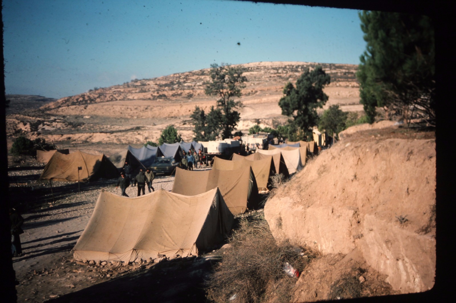 העלייה לסבסטיה (ד"ר דניאל גוטליב)