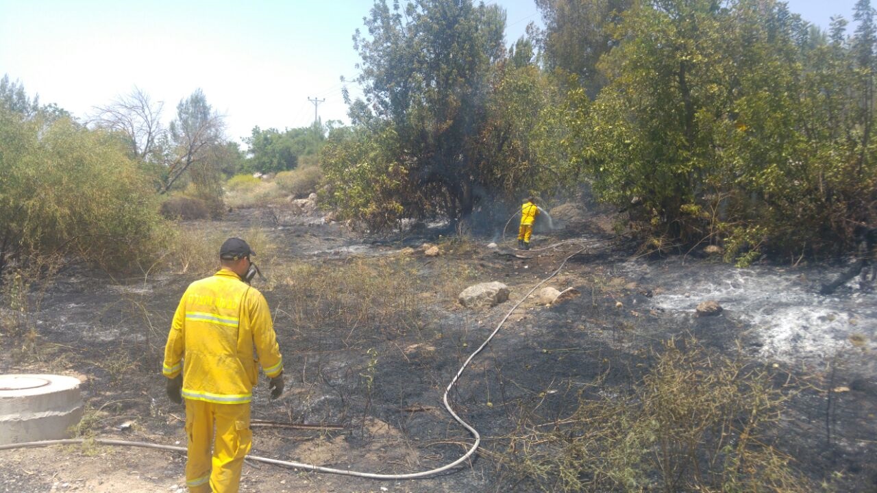 השריפה שהשתוללה סמוך לכפר אוריה (דוברות כבאות ירושלים)