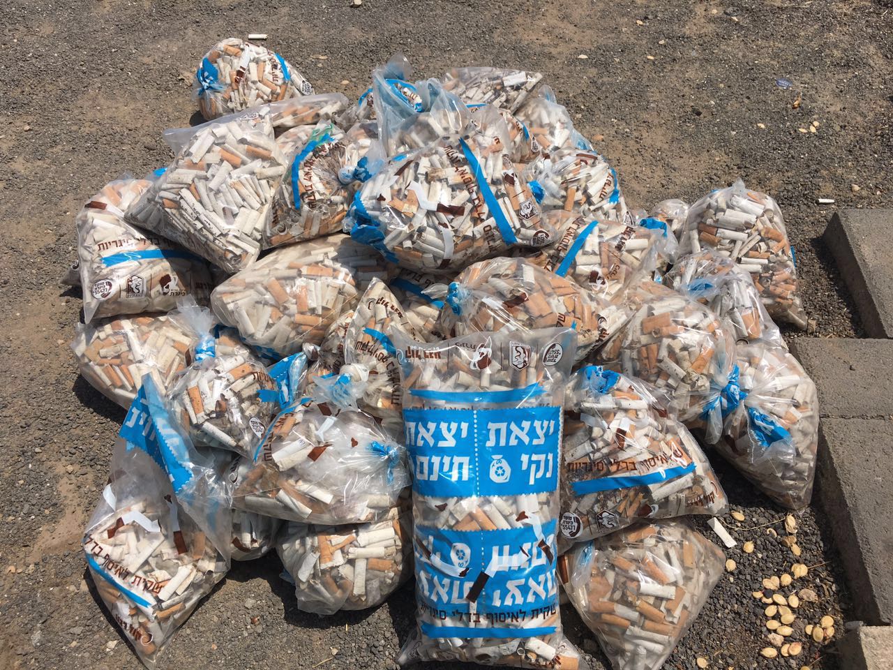 הבדלים שנאספו (רשות הכנרת)