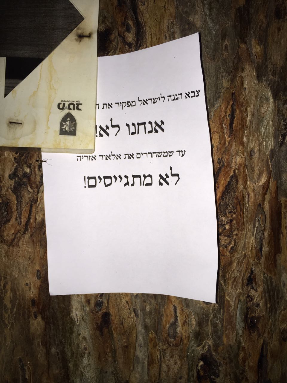 הדפים שתלה החייל (חוננו)