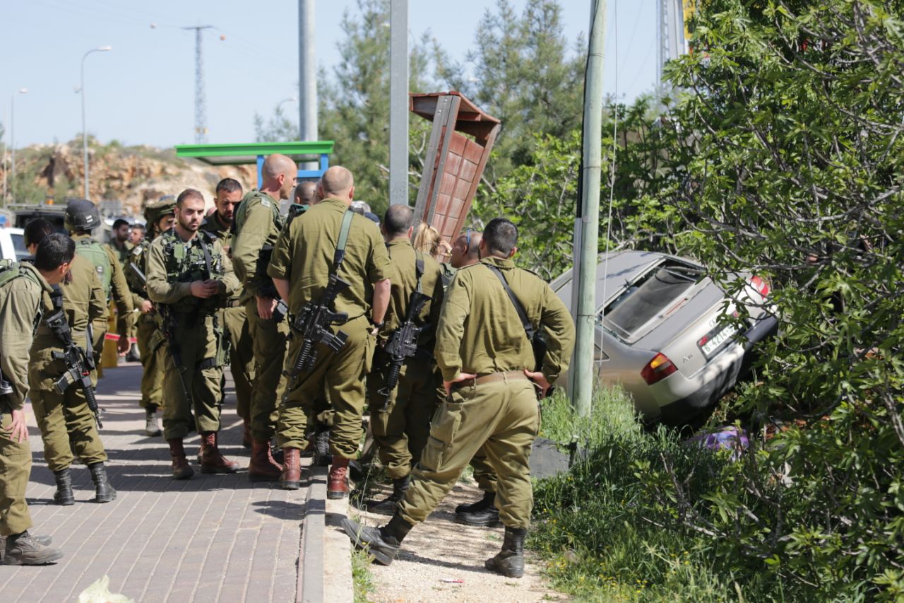 (הלל מאיר, tps)